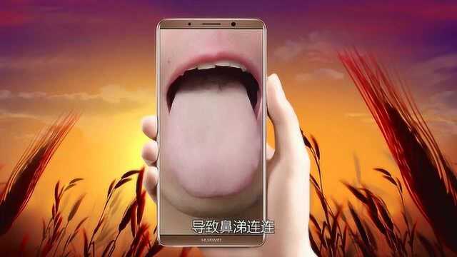 脾肾阳虚的舌象,舌诊哥和你一起来看看