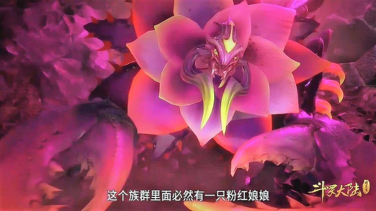 斗罗大陆粉红女郎图片