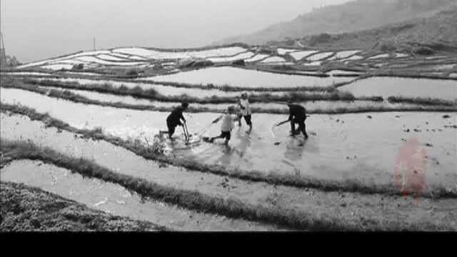 周西成认为,修建公路即是“开贵州之生路,辟全黔之财源”