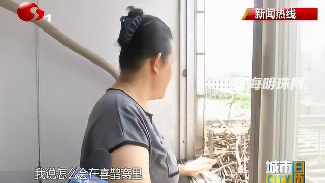 通州区职业中学宿舍:现实版“鸠占鹊巢” 再迎新生命