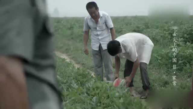 舌尖上的中国:四川芽菜,腌制一年以上的芽菜,口味最佳!