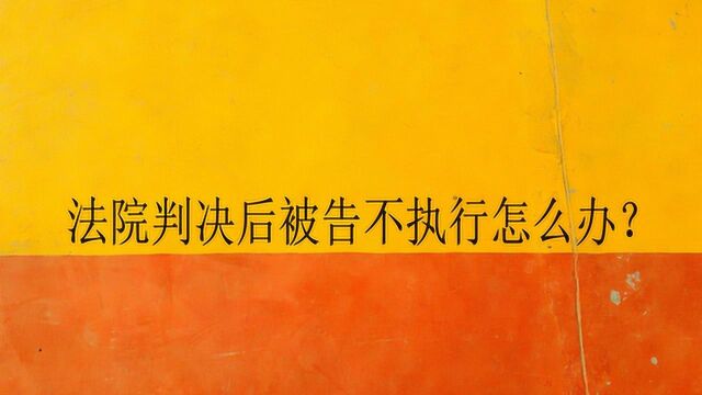 法院判决后被告不执行怎么办?