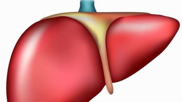 肝脏有没有毒?看有没有这几个症状就知道