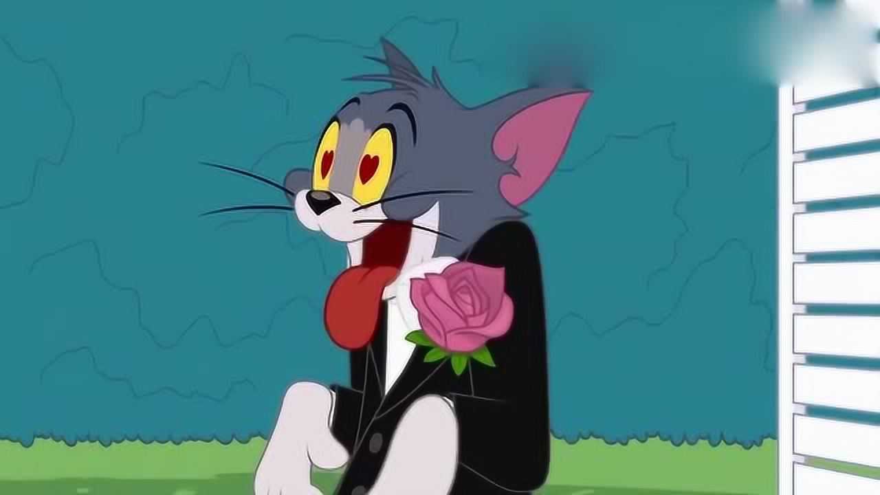 新猫和老鼠汤姆和小母猫结婚了看上去太幸福了