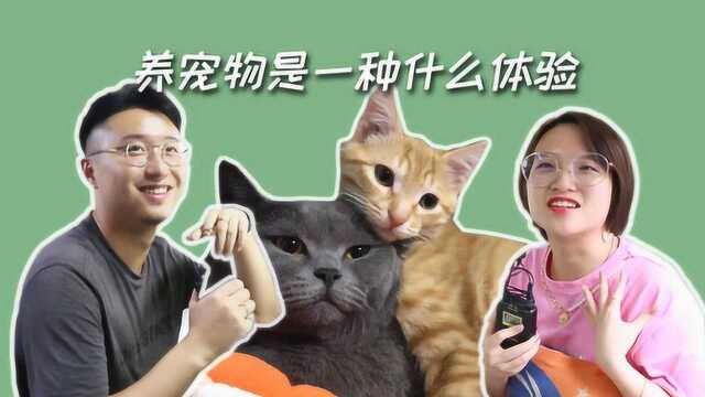 编辑部的日常:家有萌宠是一种什么体验