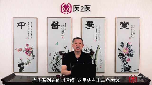 中医学说,十二经络和经筋是什么?