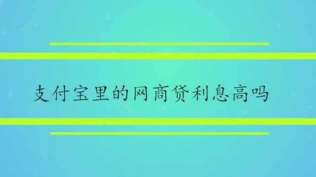 支付宝里的网商贷利息高吗