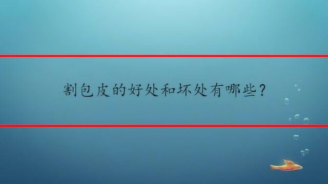 割包皮的好处和坏处有哪些?