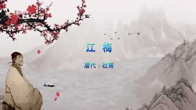 腊月前梅蕊己破,新年后梅花正多,杜甫诗《江梅》