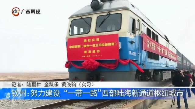 钦州:努力建设“一带一路”西部陆海新通道枢纽城市