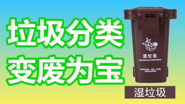 垃圾分类玩具,教小朋友认识25种常见湿垃圾,垃圾分类知识卡片