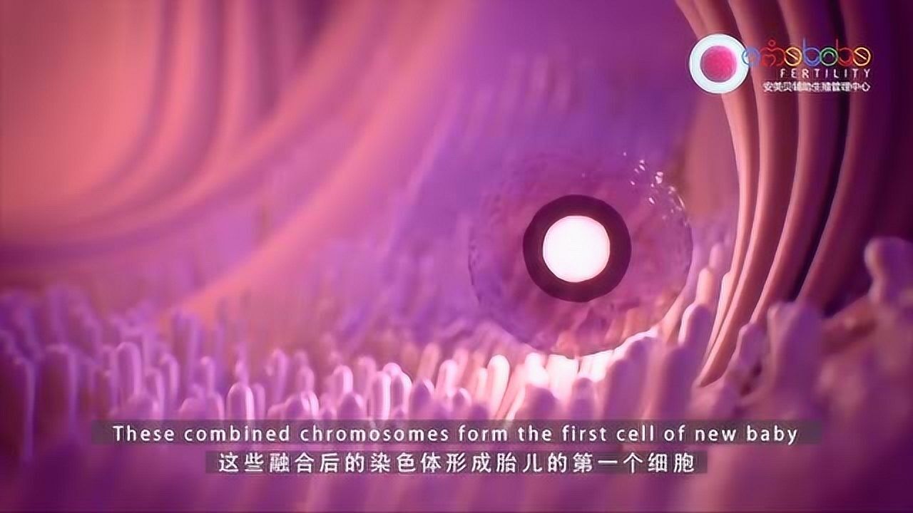 精子与卵子受精过程_腾讯视频