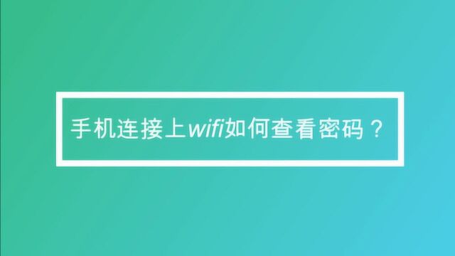 手机连接上wifi如何查看密码?