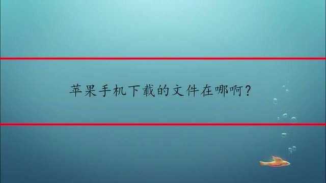 苹果手机下载的文件在哪啊?