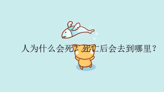 人为什么会死?死亡后会去到哪里?