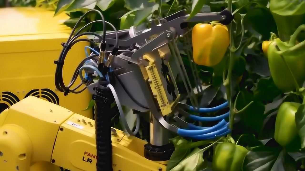 老外发明摘辣椒机器人自动识别摘取成熟辣椒网友够先进