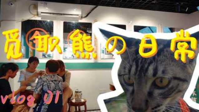 【觅职熊vlog】小伙过节回不了家只能在外探店撸猫