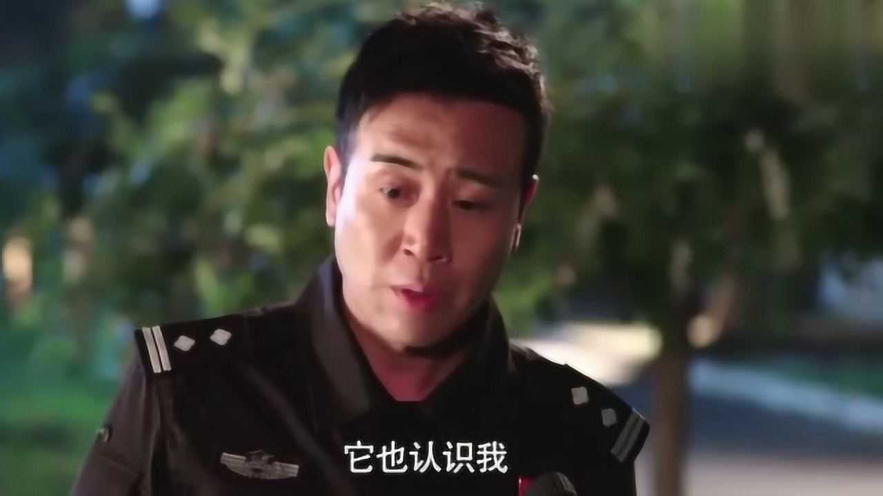 警花与警犬失忆的天狼终于恢复了竟能认识人了姝寒喜极而泣