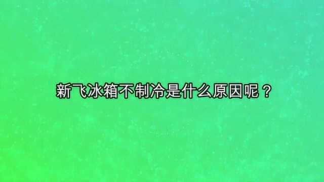 新飞冰箱不制冷是什么原因呢?