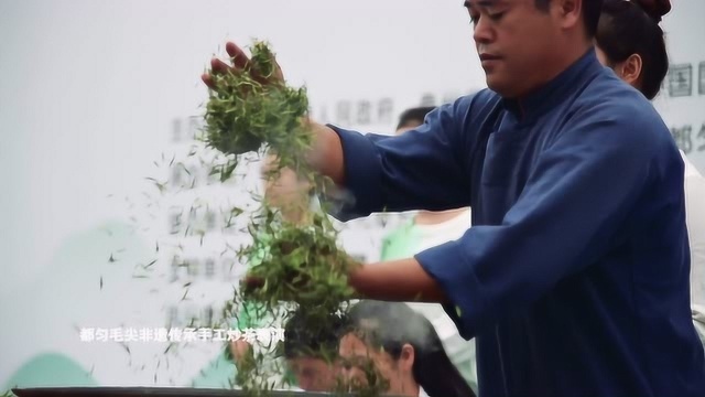 观色闻香辨茶品,科普“好茶”的参数