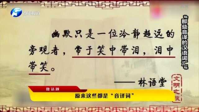 原来这些都是“音译词”