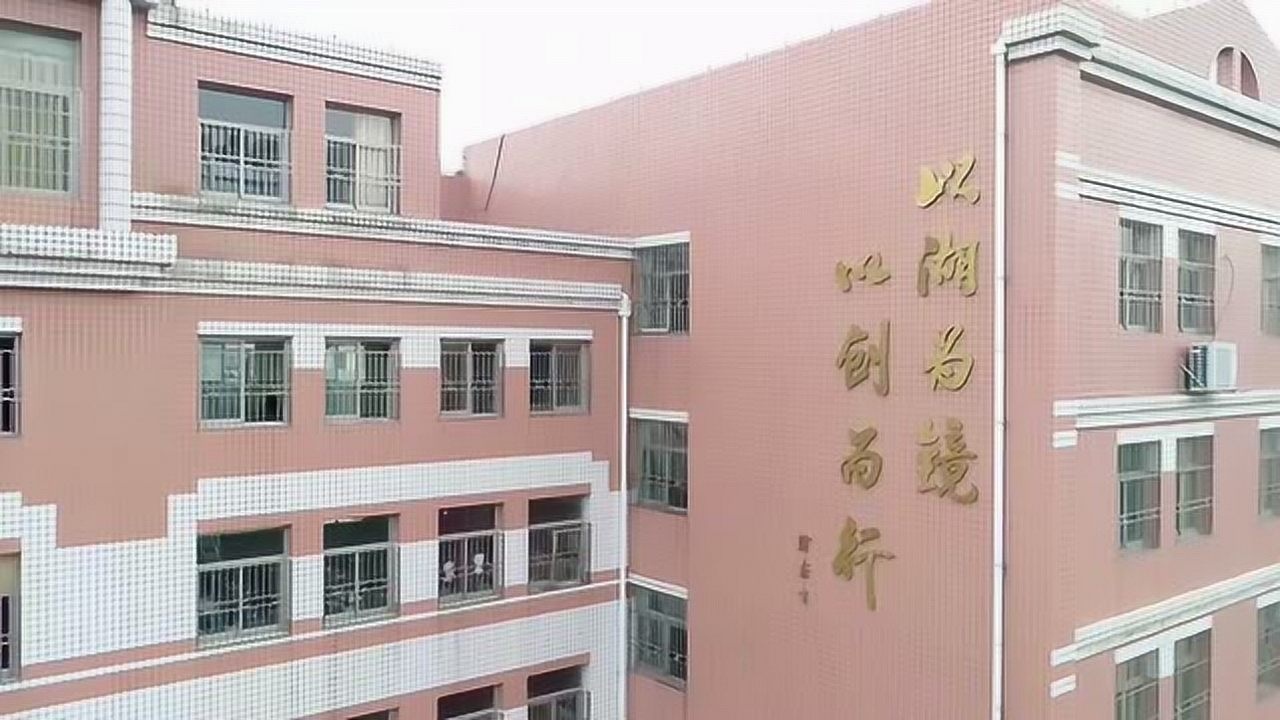 南昌市北湖小学2020红领巾战疫雷锋月主题晨会