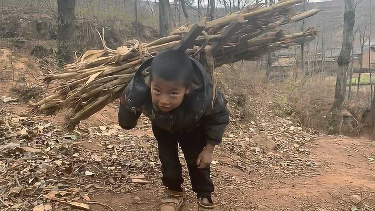 山区无父无母的孩子,自己上山捡柴,回家路上的一幕让人落泪!