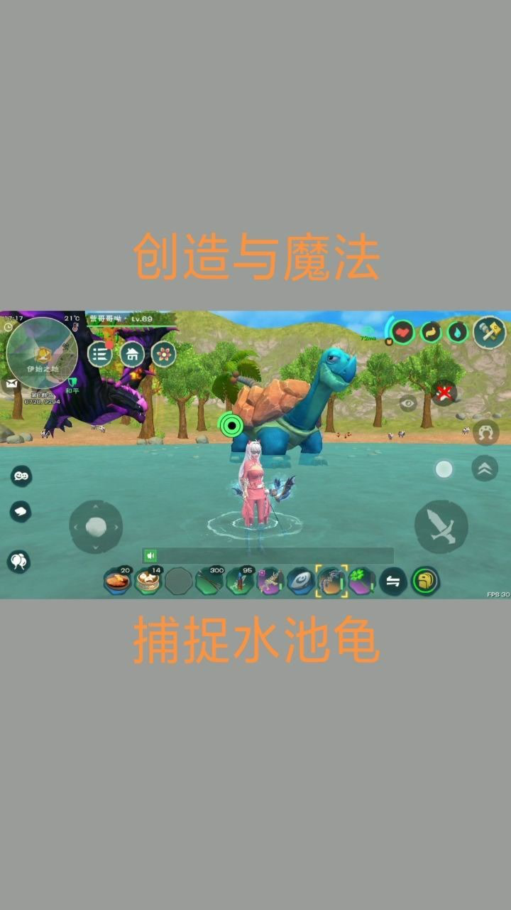 创造与魔法:水池龟饲料捕捉水池龟