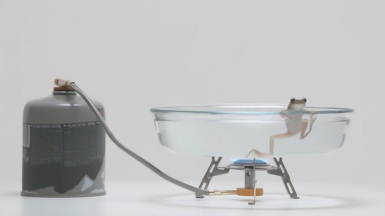 外国小伙实验温水煮青蛙结果很打脸网友又被骗了