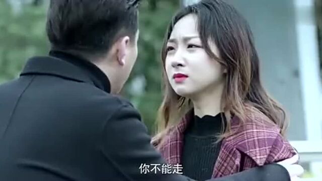 失去了才知道后悔,看胡总如何挽留安琪,能否抱美人归?