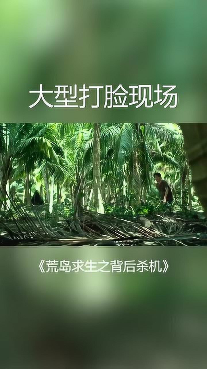 大型打脸现场有没有像极了你们荒岛求生2背后杀机