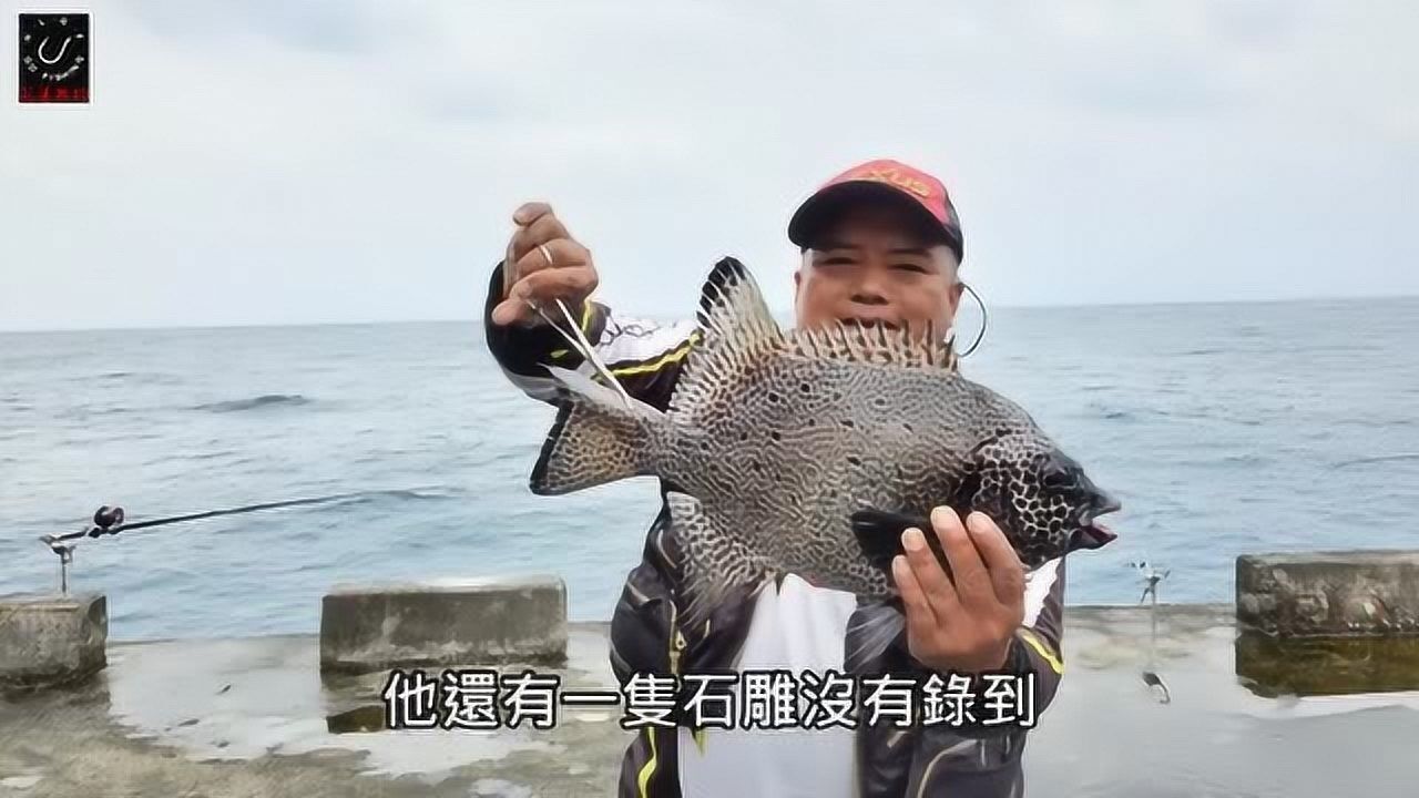 花莲港海钓石鲷炮弹鱼黑猪哥鱼好钓点天天出鱼