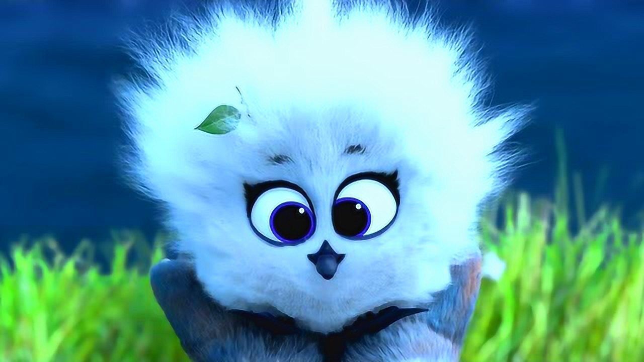 兔耳袋狸治愈系短片终有一天你也会遇到那个为你奋不顾身的人