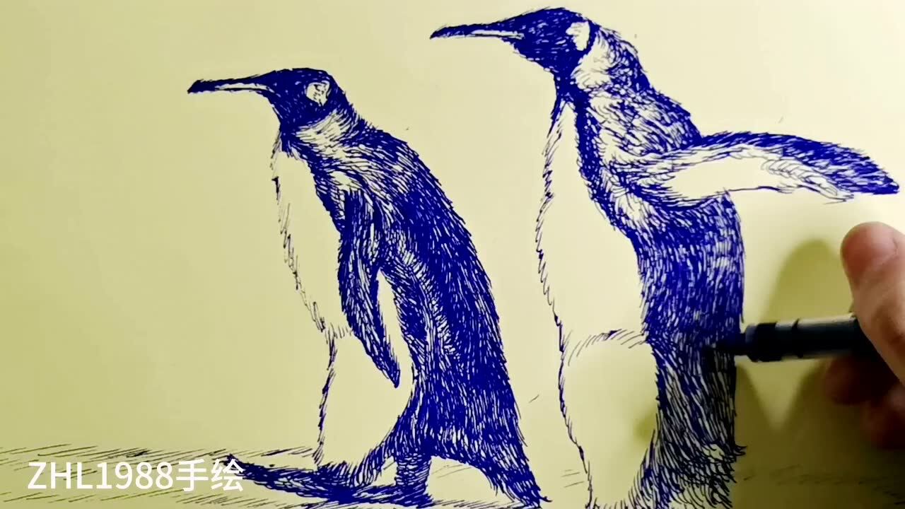 每日一画-线描-企鹅