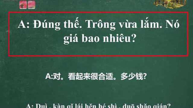 轻松学习越南语:今日话题买衣服越汉双语情景对话25