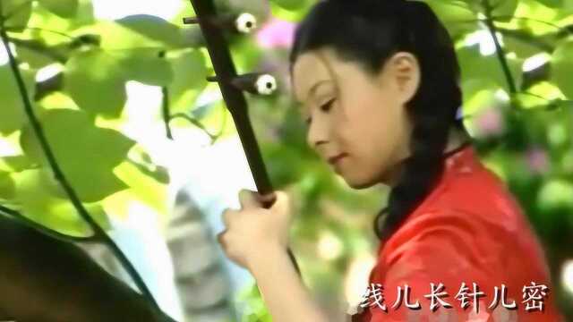 胡红:二胡演奏《翻身农奴把歌唱》,高原春光无限美