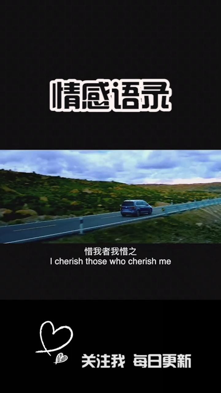 惜我者我惜之,嫌我者我弃之