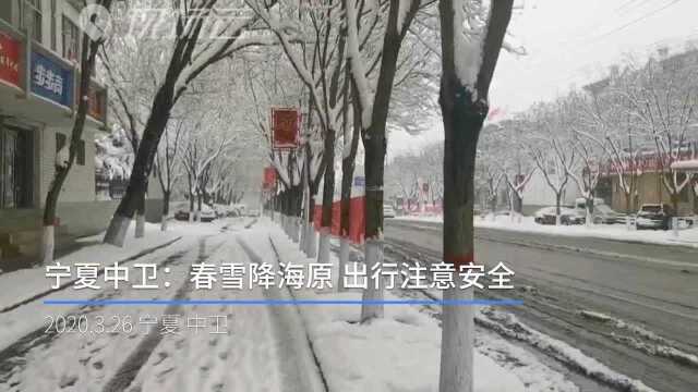 宁夏中卫:春雪降海原 出行注意安全