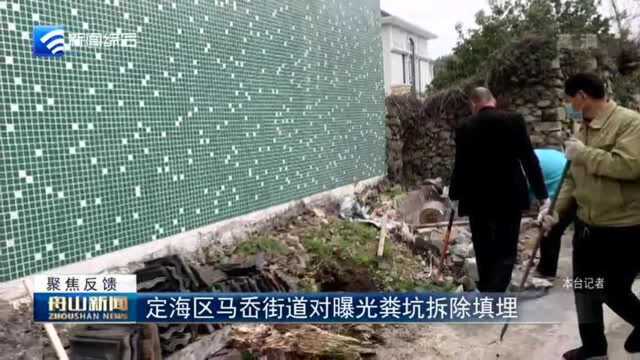 定海区马岙街道对曝光粪坑拆除填埋