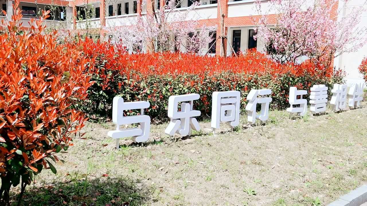 金乐小学网上升旗仪式