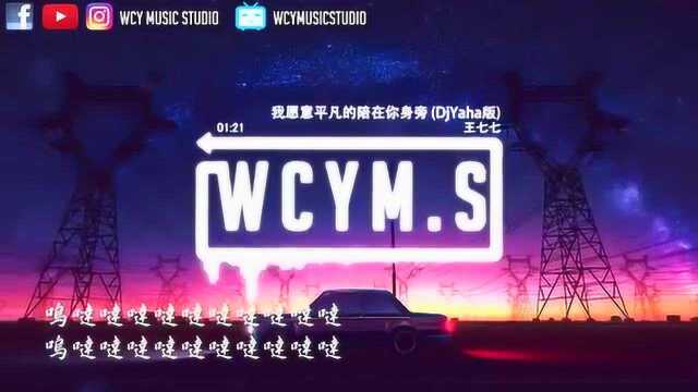 王七七  我愿意平凡的陪在你身旁 (DjYaha版)