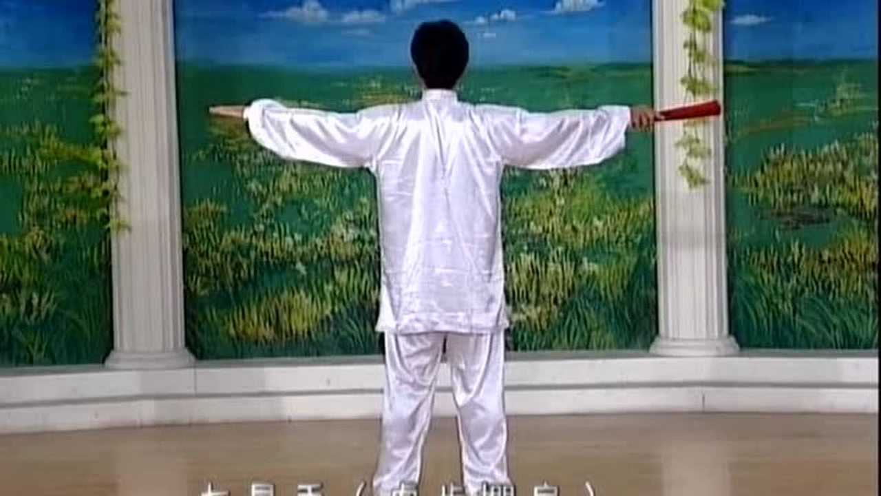 李德印太极功夫扇第一套第六段分解教学_高清1080P在线观看平台_腾讯视频