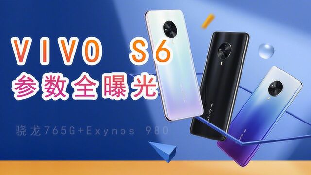 vivo S6参数全曝光!预计拥有两种版本