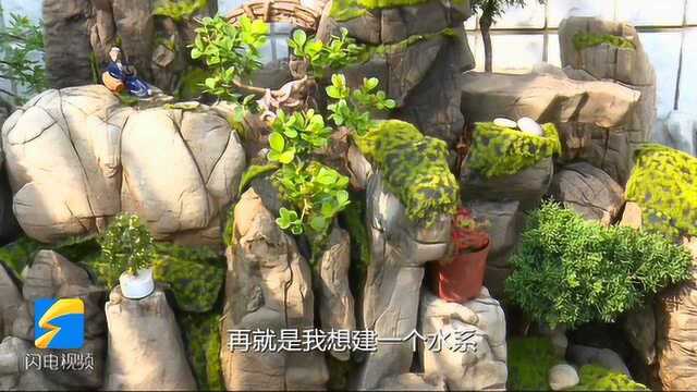 韵味十足!淘石头垒假山 青州居民用4年时间打造“山水雅舍”