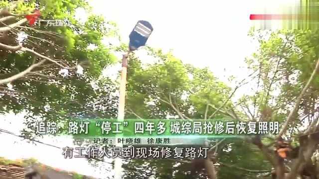 追踪湛江一路灯“停工”四年多 记者报道后恢复照明