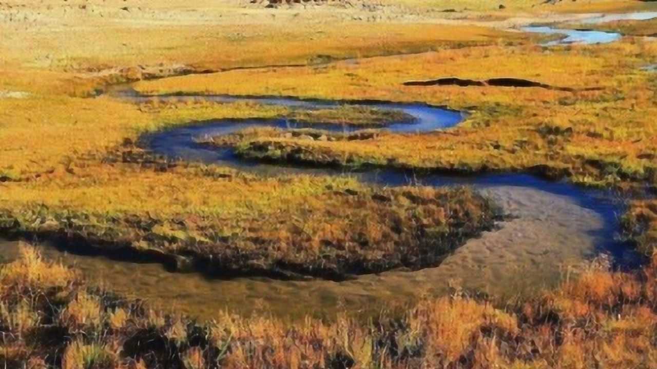 内蒙古耗来河号称世界上最窄的河流深度和宽度均才几十厘米
