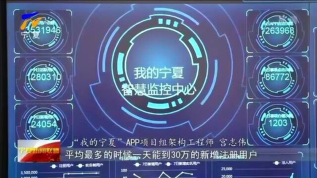 我的宁夏APP团队:用48小时破题 用100%投入坚守