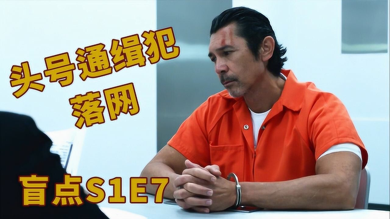 《盲点》1-7，头号通缉犯落网，曾凭一己之力让整个欧洲颤抖！_高清