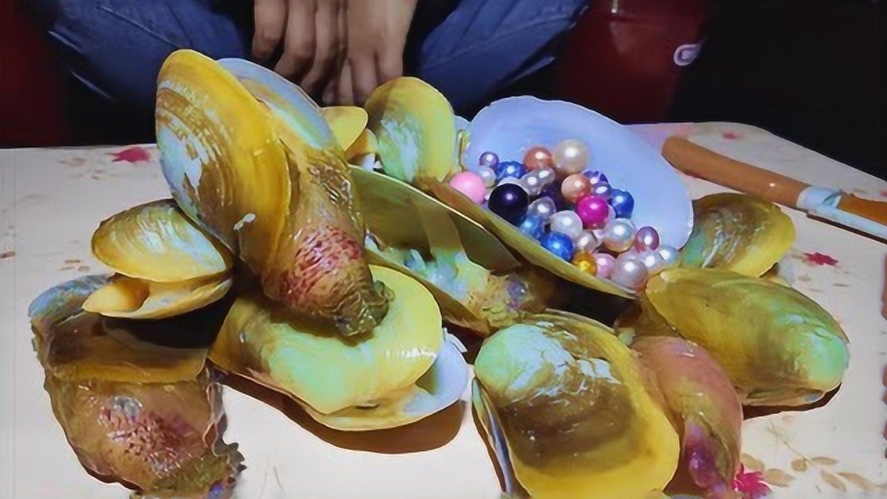 大姐河边捞出好多"黄金蚌",里面的珍珠太漂亮了,光泽度非常的高!