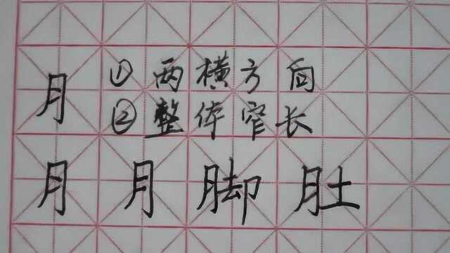 月字旁,脚,偏旁部首,硬笔,习字,独立精讲,书写要点提示